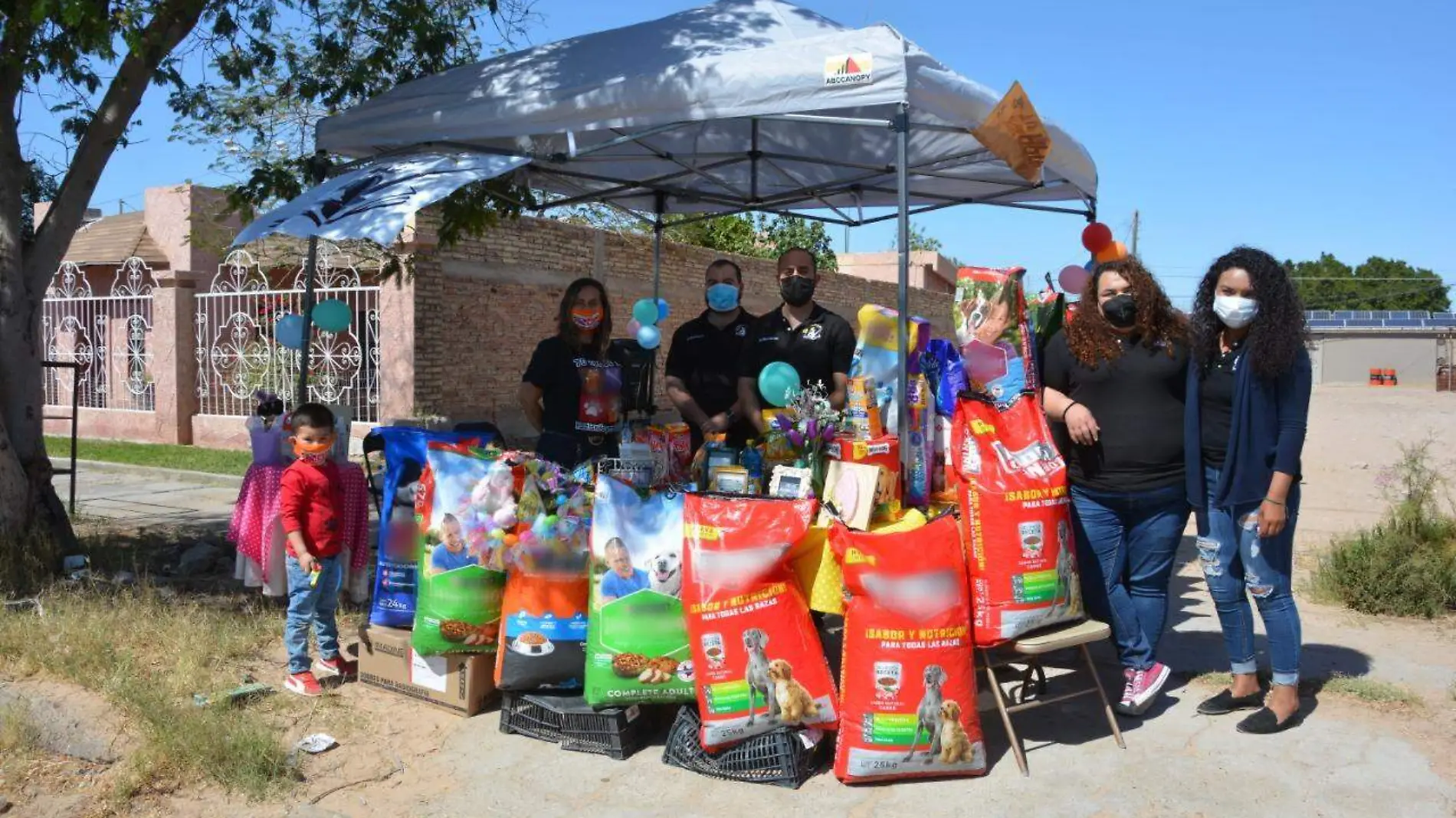 colecta mascotas